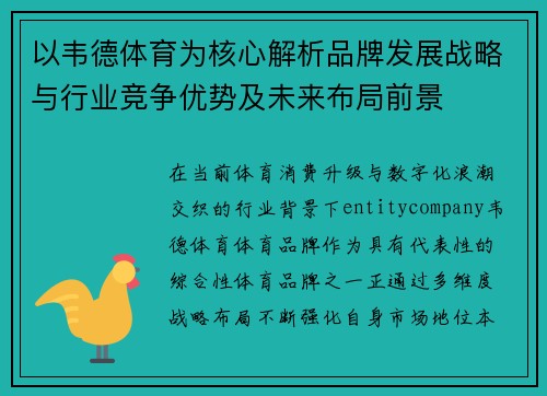 以韦德体育为核心解析品牌发展战略与行业竞争优势及未来布局前景 以韦德体育为核心解析品牌发展战略与行业竞争优势及未来布局前景